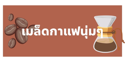 แนะนำเมล็ดกาแฟนุ่มๆน่าลิ้มลอง